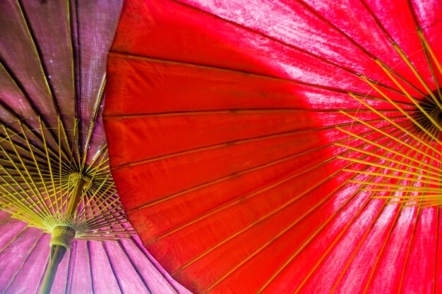 Foto een close-up van een rode hibiscus