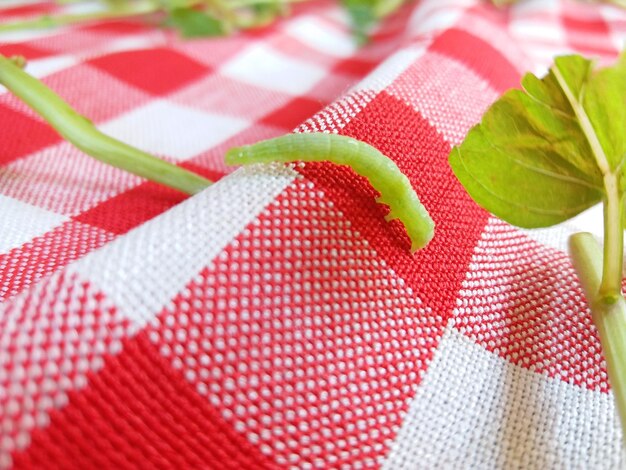 Foto een close-up van een rood blad