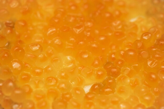 Een close-up van een stuk sinaasappel met het woord "vis" erop.