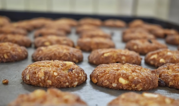 Een close-up van een vers gemaakte haverkoekjes in de bakkerij Tr