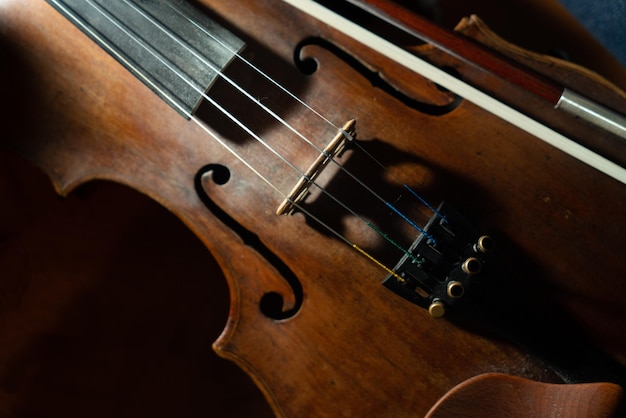 Een close view van een viool snaren en brug