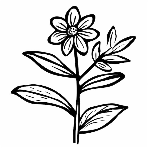 Een daisy bloem kleurpagina