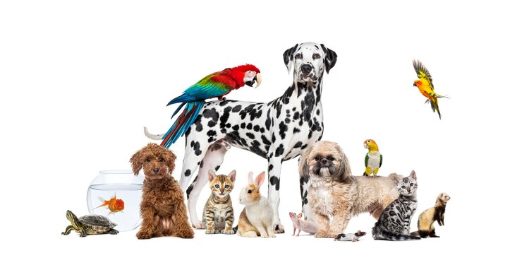 Foto een dalmatiër die met een scharlakenrode ara op zijn rug staat, wordt omringd door andere gewone huisdieren