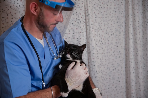 Een dierenarts knuffelt een kat tijdens een medisch bezoek aan het thuiszorgconcept voor huisdieren