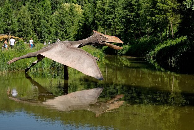 Een dinosaurus met een grote vleugel ligt in het water naast een meer.