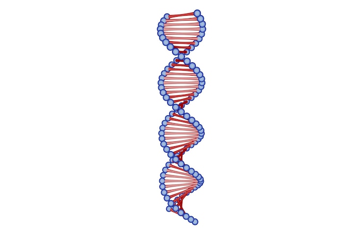 Foto een dna-streng wordt weergegeven op een witte achtergrond.