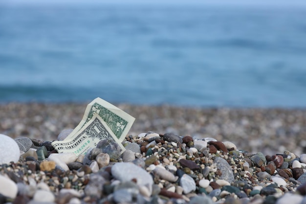 Een dollar half bedekt met ronde stenen ligt op het strand