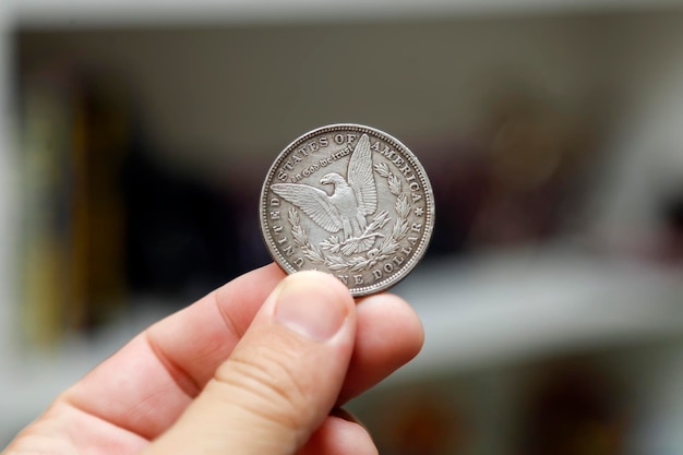 Een dollar zilveren munt Morgan Dollar