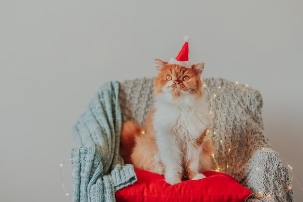 Foto een donzige gemberkat in een kerstman-hoed zit op een stoel bedekt met een gebreide deken en een kerstslinger.