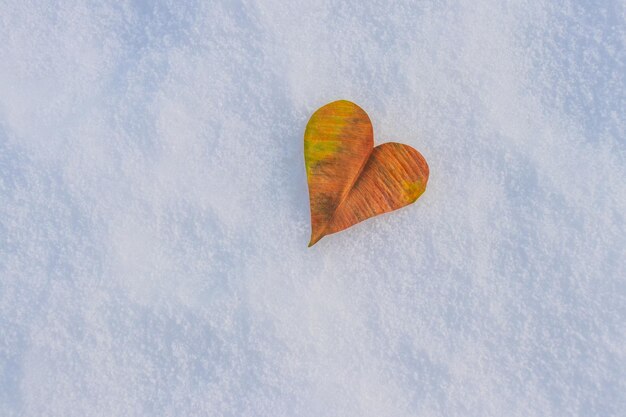 Een droog blad in de vorm van een hart in de sneeuw