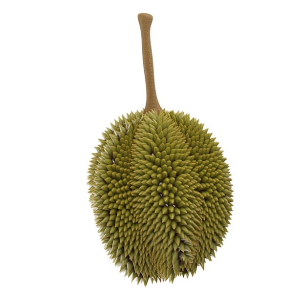 Een durian-fruit staat op een witte achtergrond