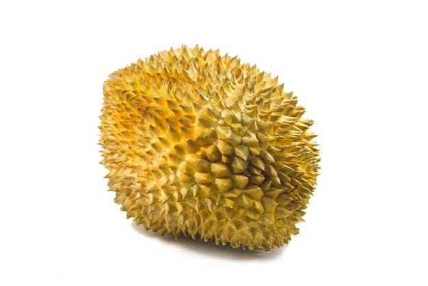 Een durian geïsoleerd op een witte achtergrond