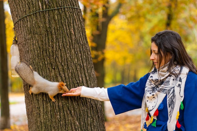 Een eekhoorn zittend op een boomstam neemt noten uit iemands hand in een herfstpark.