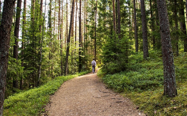Foto een eenzame man loopt de berg op langs het bospad tussen de sparren.