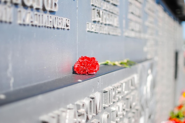 Een eenzame rode bloem op het monument