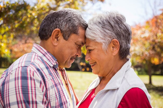 Een elderlrypaar die en bij park omhelzen romancing