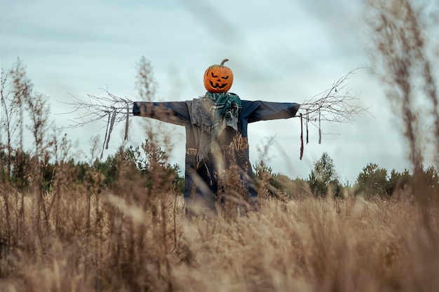 Een enge vogelverschrikker met een Halloween-pompoenhoofd op een gebied in bewolkt weer.