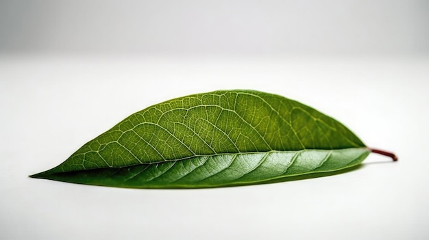 Een Enkel Groen Blad Tegen Een Witte Achtergrond Generatieve AI