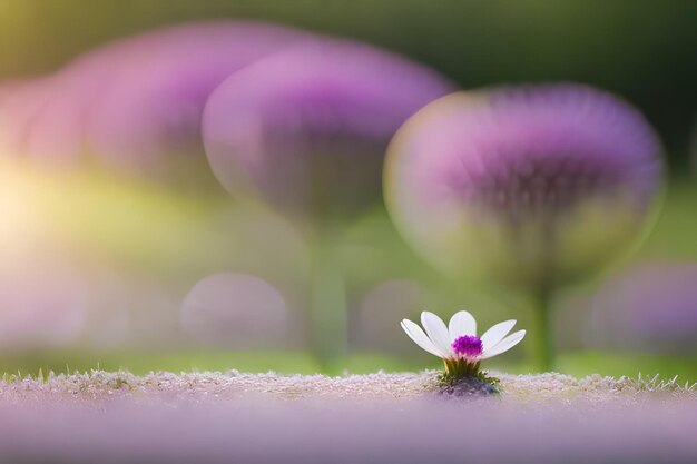 een enkele bloem in het midden van een veld van paarse bloemen.