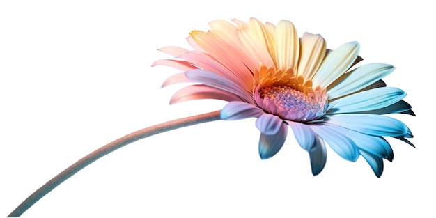 Foto een enkele bloem wordt getoond tegen een witte achtergrond generative ai-afbeelding