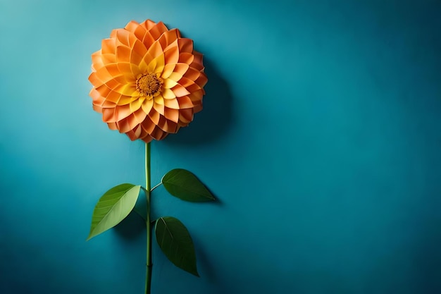 Een enkele oranje bloem staat voor een blauwe achtergrond.