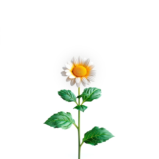 Een enkele witte bloem met groene bladeren op een witte achtergrond Generatieve AI