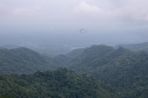 Een esthetisch landschap van bergen en vliegende vogels van bovenaf met brede kijkhoek