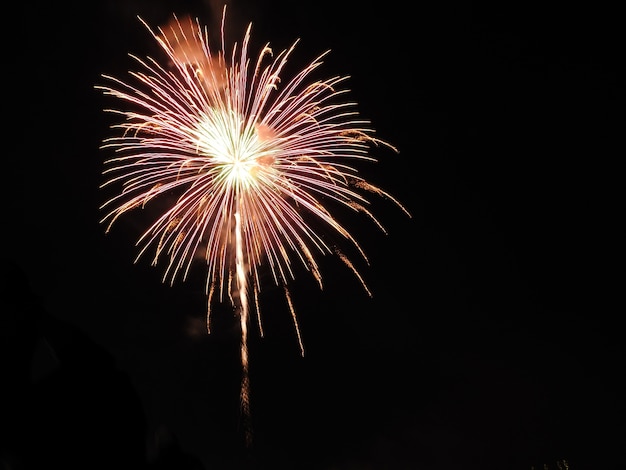 Een explosie van vuurwerk boven de donkere hemel