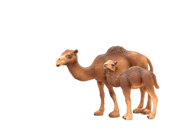 Een familie van kamelen een moeder en een welp realistisch dierenspeelgoed