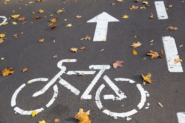 Een fietspad met een fietsverkeersbord en markeringen getekend op het asfalt. Het herfstpad in het park is bezaaid met droge gele esdoornbladeren. Fietsen in de herfst, verkeersregels