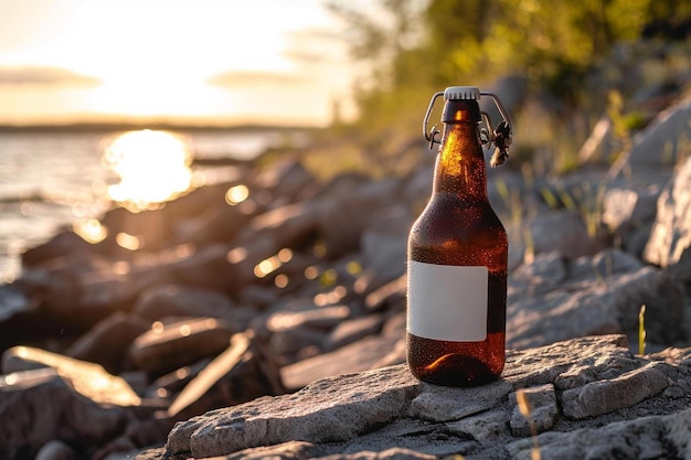 een fles bier die bovenop een rots zit