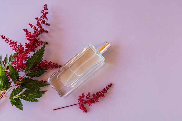 Een fles damesparfum op een roze achtergrond met een astilbe bovenaanzicht een kopie van de ruimte het concept van parfumerie en schoonheid