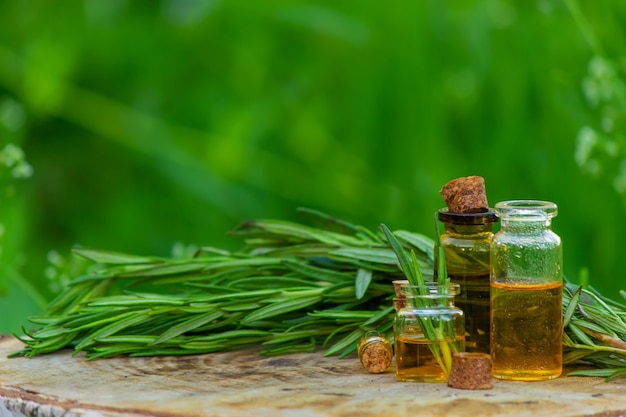 Een fles rozemarijnolie op een boomstronk. Etherische olie, natuurlijke remedies. Natuur. Selectieve focus