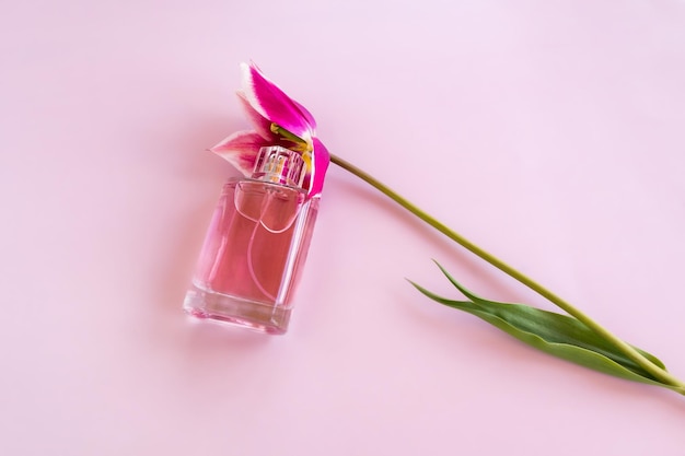Een flesje damesparfum op een roze achtergrond met een tulp bovenaanzicht het concept van parfumerie en schoonheid