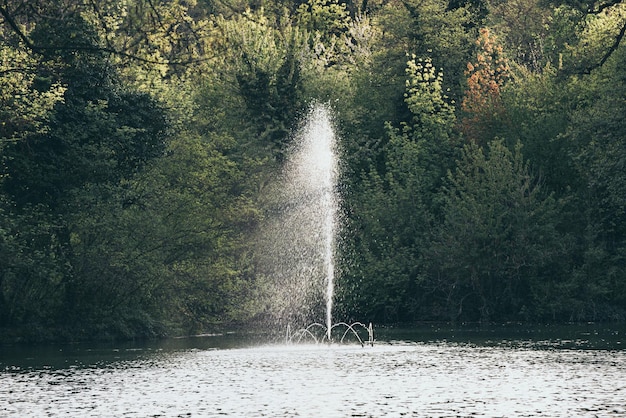 Een fontein in een openbaar park