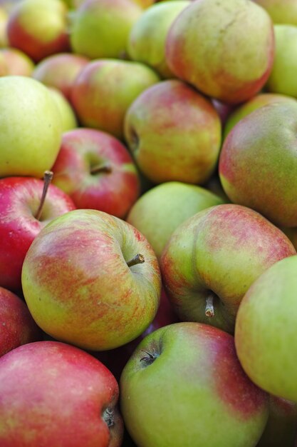 Een foto van appels Een foto Een appel per dag houdt de dokter weg appels