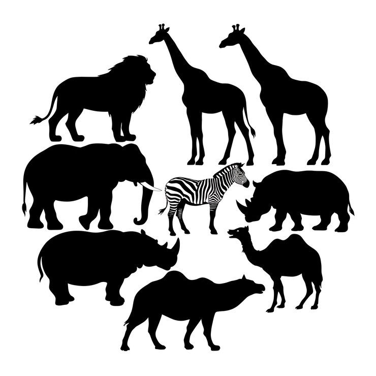 Foto een foto van dieren en neushoorns met een zebra bovenop