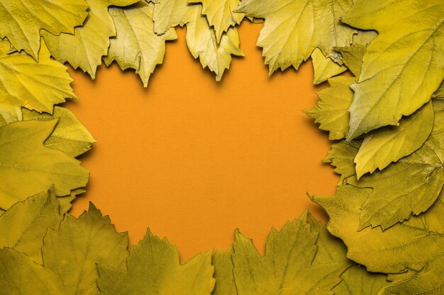 Een frame van gele herfstbladeren op een oranje achtergrond. Ruimte voor de tekst. Plat leggen.