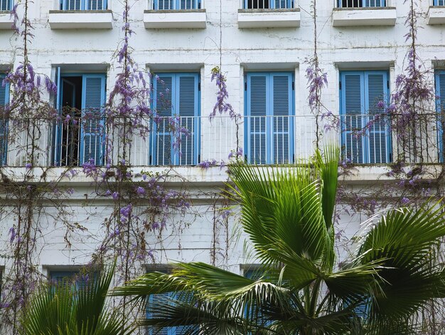 Een gebouw met blauwe bloemen en een palmboom ervoor