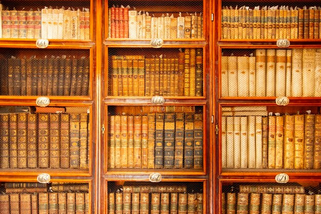 Een gedetailleerd beeld van een bibliotheek vol oude boeken