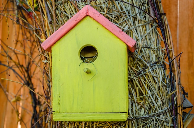 Een gekleurd vogelhuisje op een boom in het park.