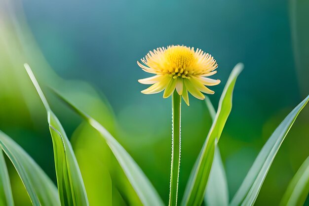 Een gele bloem in het gras