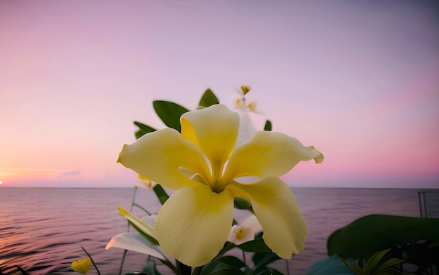 Een gele bloem is omgeven door bladeren en de lucht is een paarse en roze zonsondergang