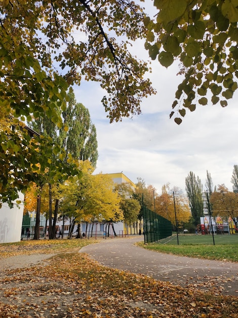 Een gele mooie bladeren in de stad in de herfst