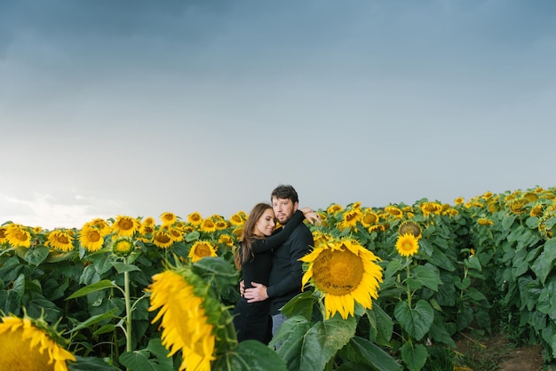 Een gelukkig verliefd stel loopt in de zomer tussen de zonnebloemen en geniet van elkaar