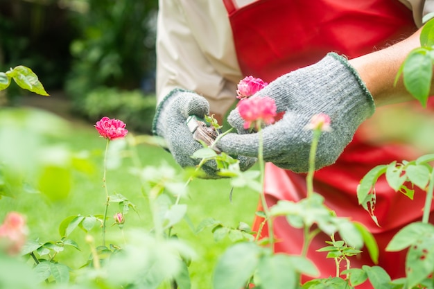 Een gelukkige en glimlachende Aziatische oude oudere man snoeit na zijn pensionering takjes en bloemen voor een hobby