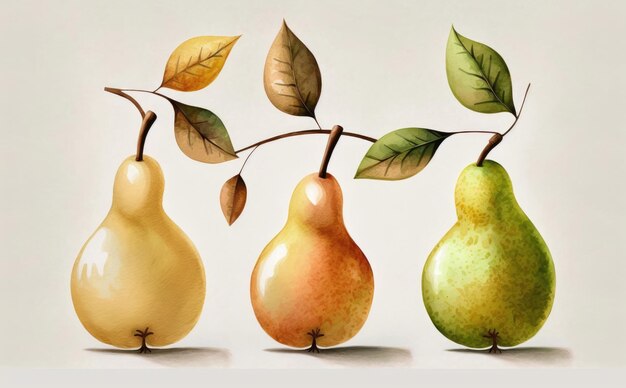 Een getekende peren op witte achtergrond aquarel fruit biologisch voedsel illustraties ai gegenereerd