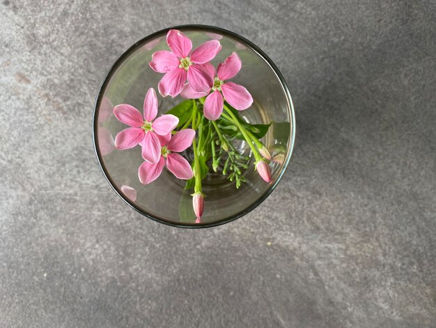 Een glas met roze bloemen erin en een groene steel in het midden.