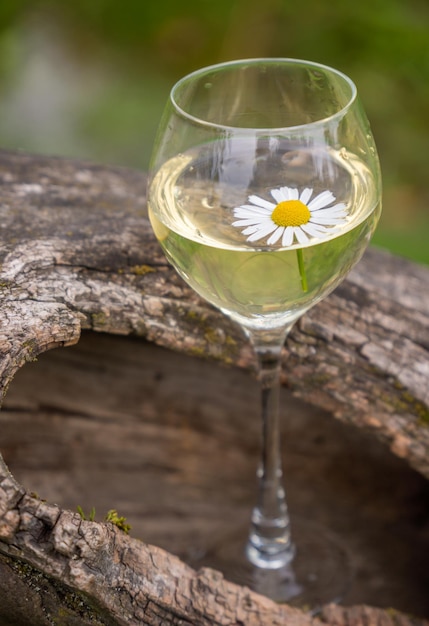 Foto een glas wijn in een oude droge appelboom