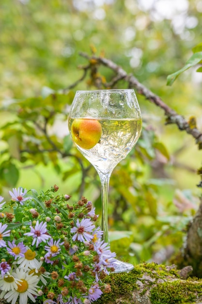 Een glas wijn op de achtergrond van de natuur